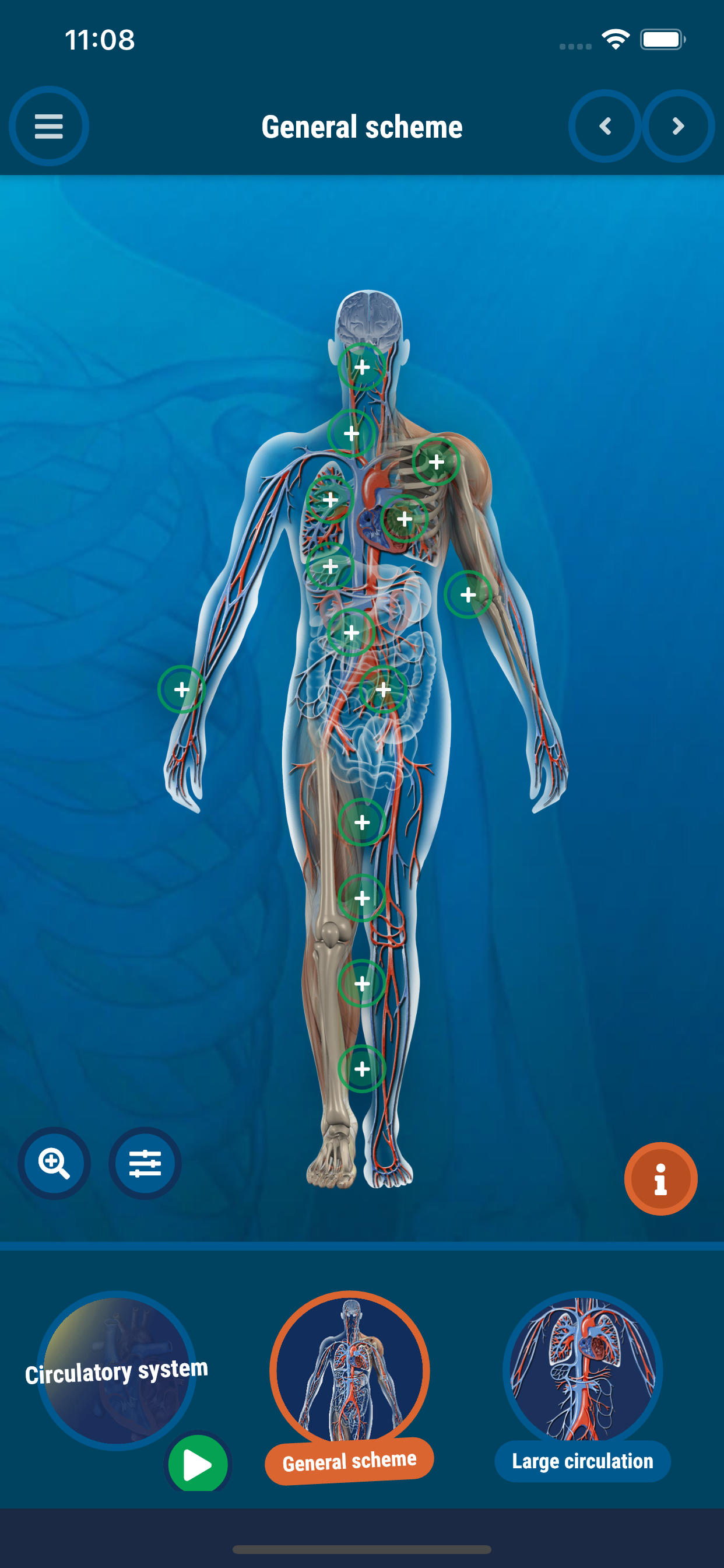 اسکرین شات 4 برنامه The Human Body
