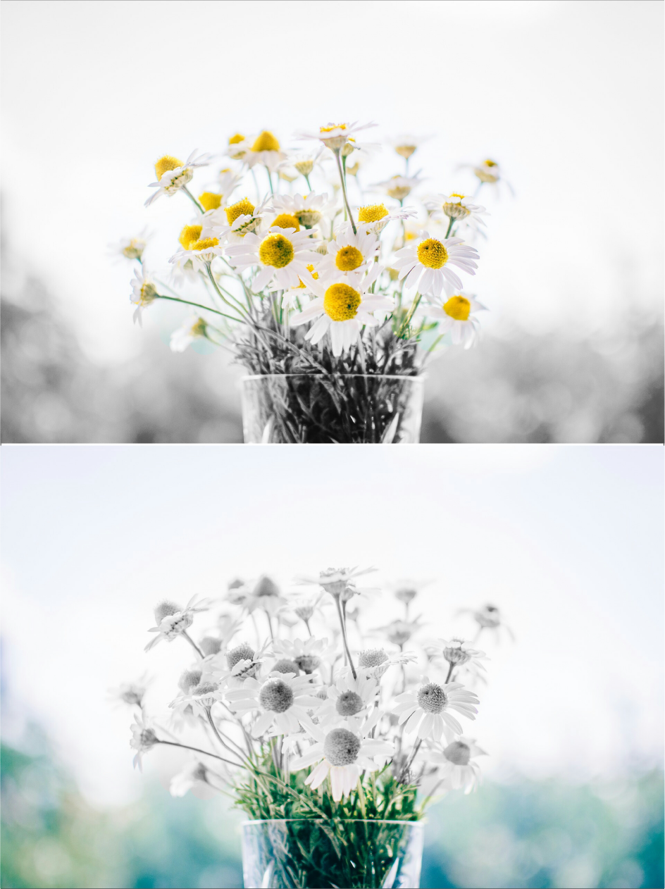 اسکرین شات 7 برنامه Monochrome Color Photo Effects