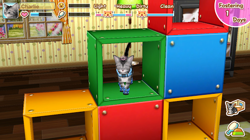 اسکرین شات 1 بازی My Cat My Room