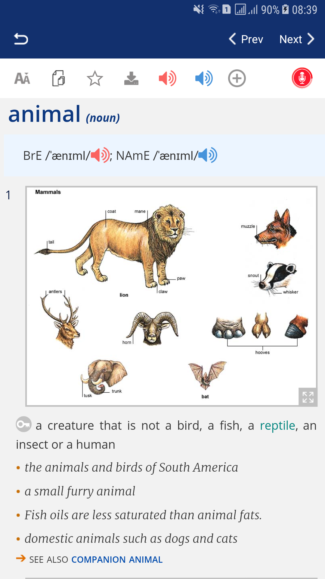 اسکرین شات 4 برنامه English Learner's Dictionary