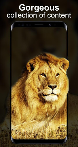 اسکرین شات 4 برنامه Live Wallpapers Unlimited