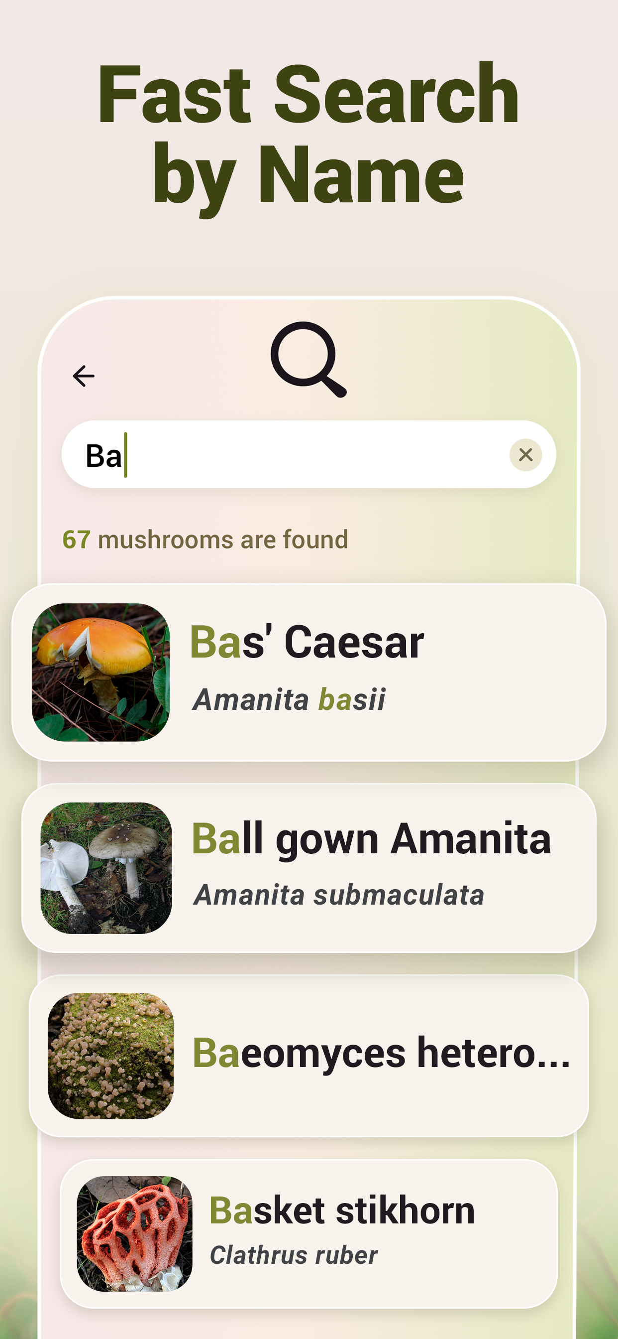 اسکرین شات 7 برنامه Mushroom ID - Fungi Identifier