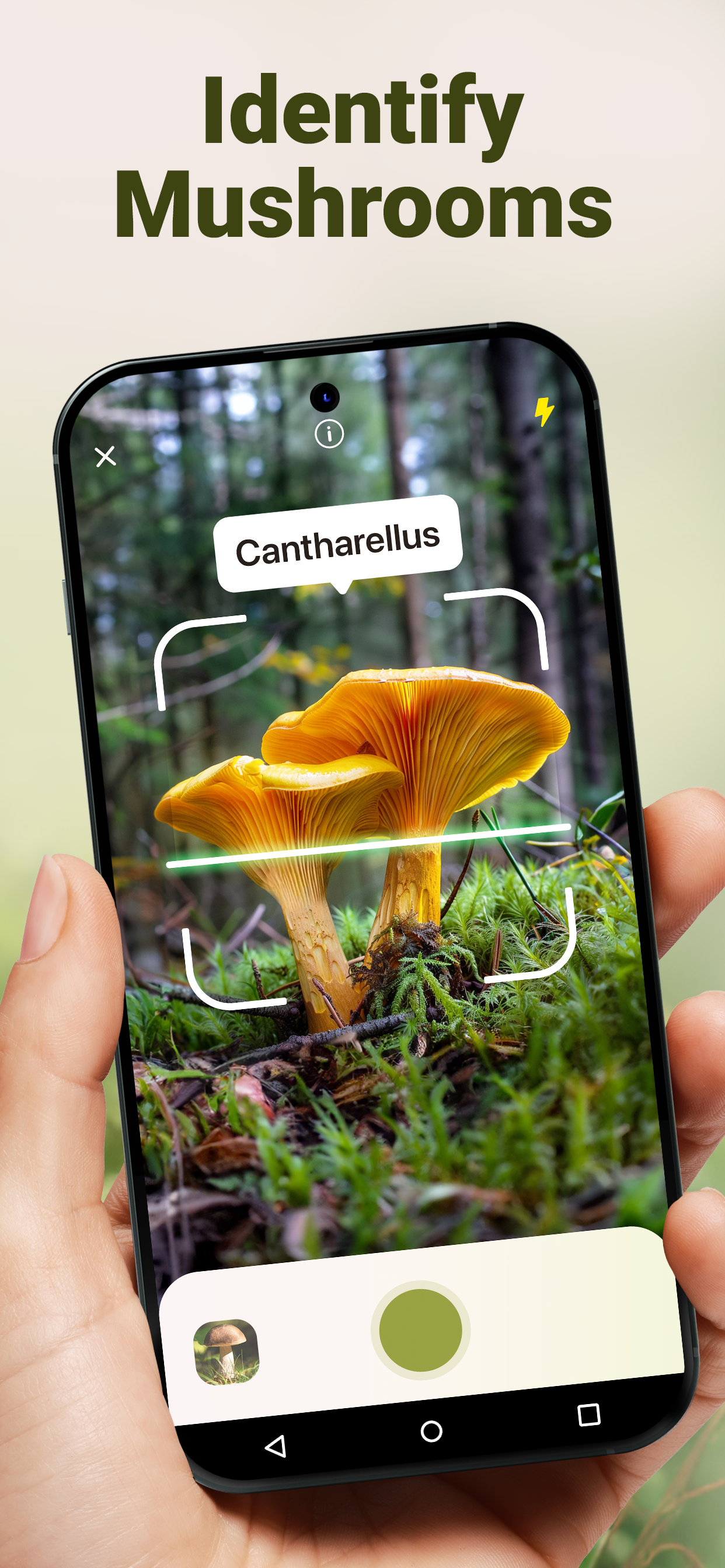اسکرین شات 1 برنامه Mushroom ID - Fungi Identifier