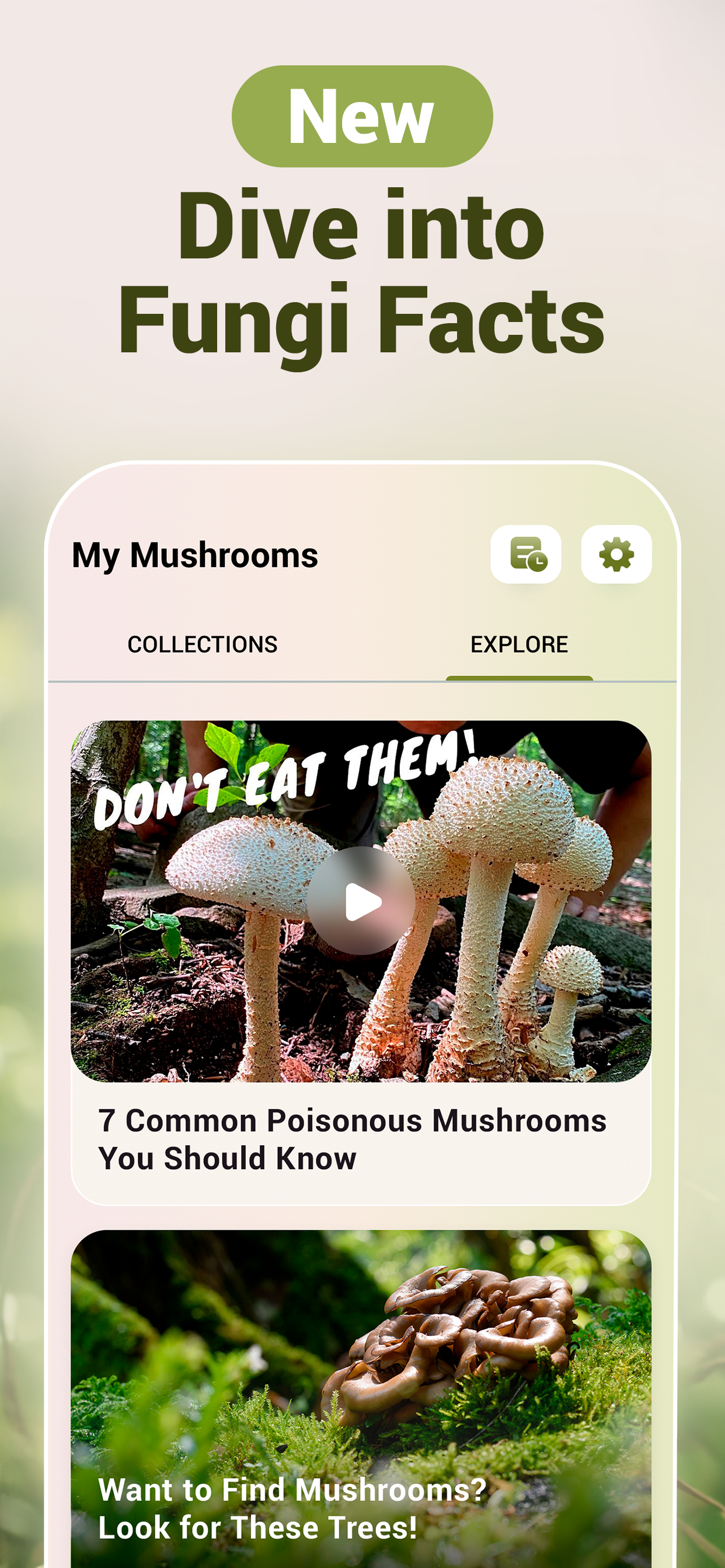 اسکرین شات 4 برنامه Mushroom ID - Fungi Identifier