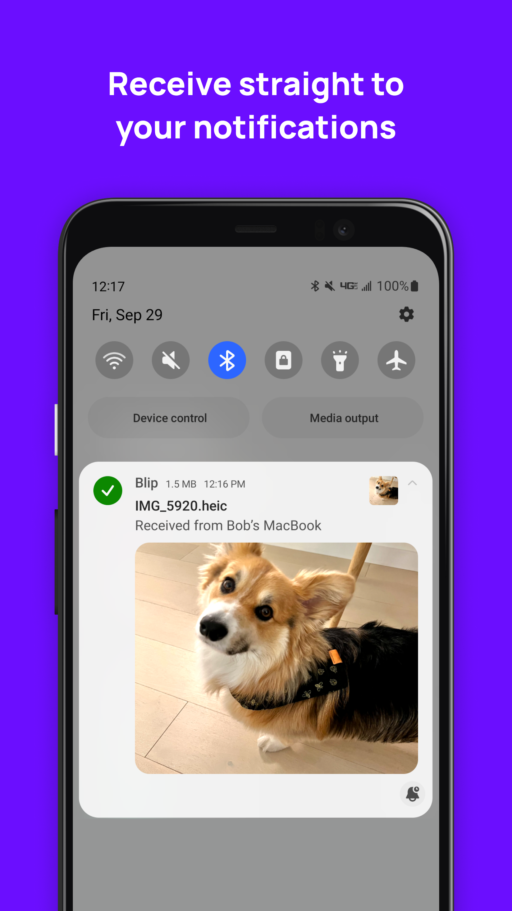 اسکرین شات 3 برنامه Blip (File Transfer)
