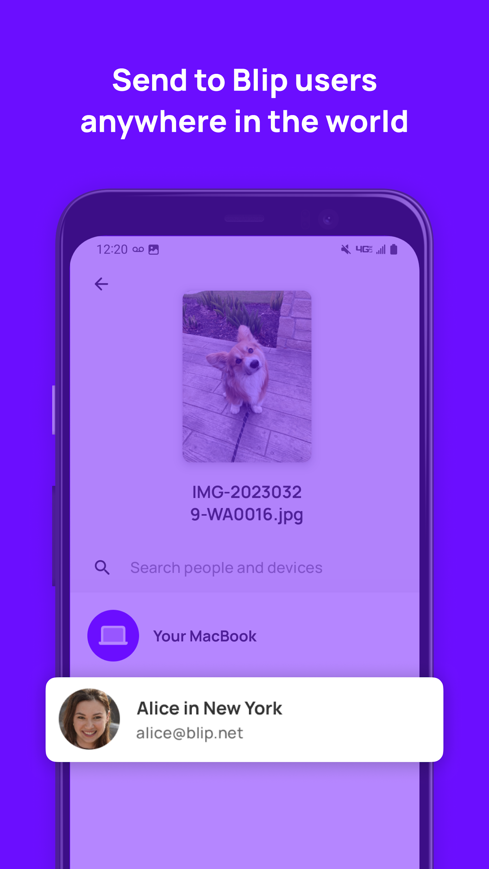اسکرین شات 1 برنامه Blip (File Transfer)