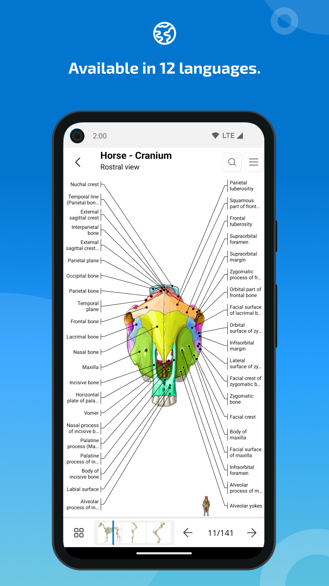 اسکرین شات 6 برنامه IMAIOS vet-Anatomy