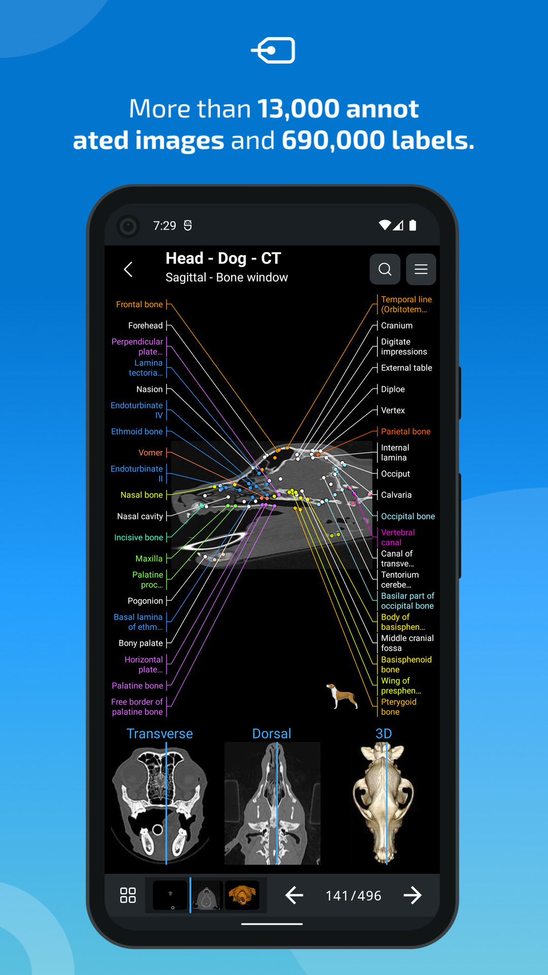 اسکرین شات 2 برنامه IMAIOS vet-Anatomy