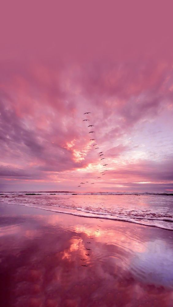 اسکرین شات 1 برنامه Aesthetic Wallpaper