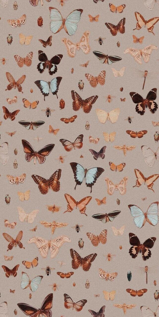 اسکرین شات 7 برنامه Brown Aesthetic Wallpaper
