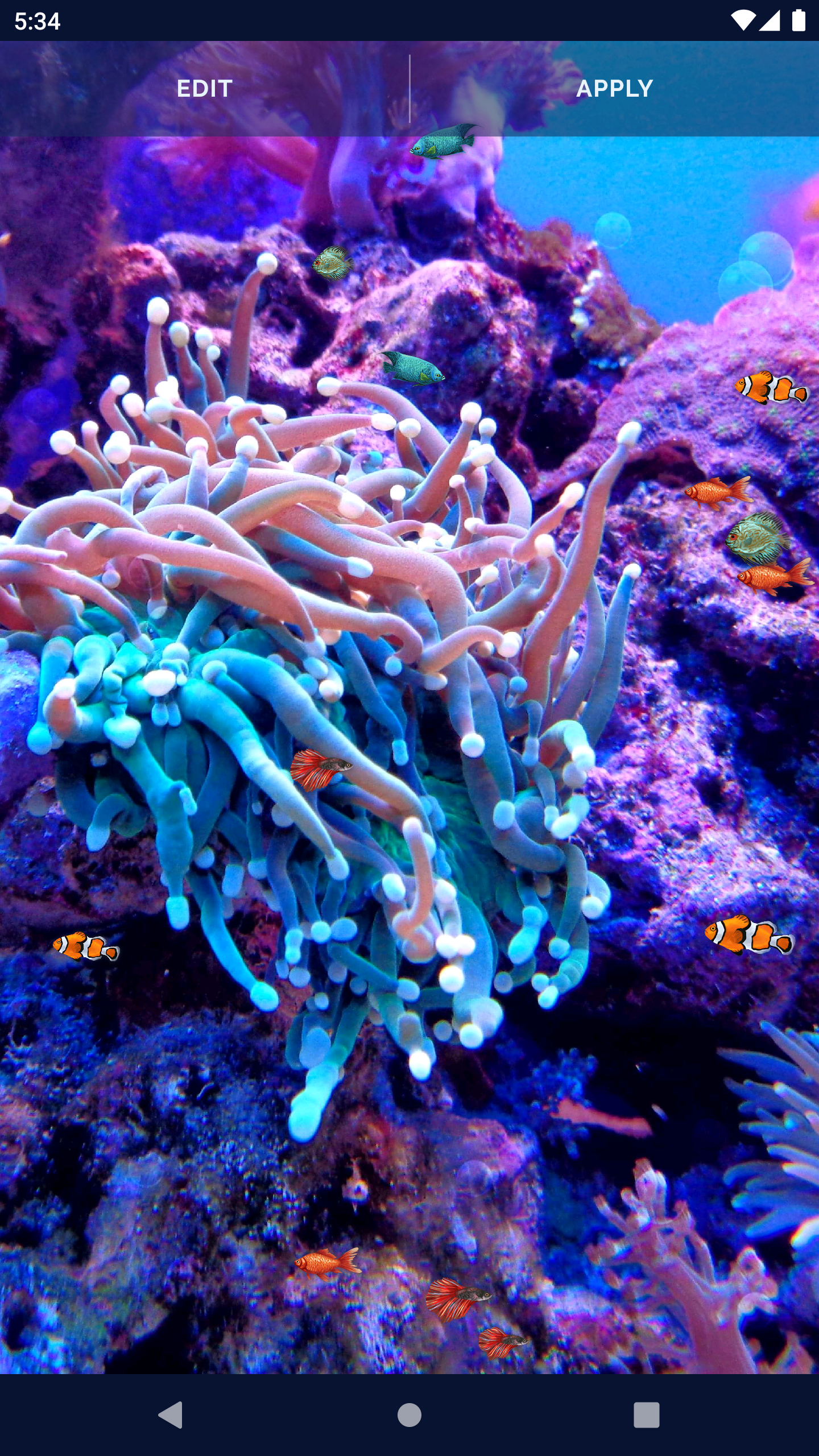 اسکرین شات 5 برنامه Ocean Fish Live Wallpaper 4K