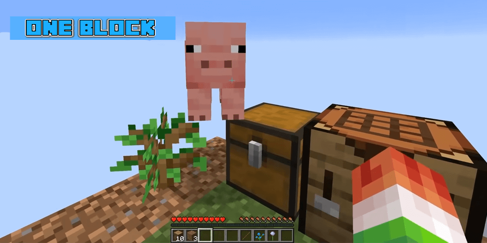 اسکرین شات 2 برنامه One Block Survival Minecraft Map Skyblock