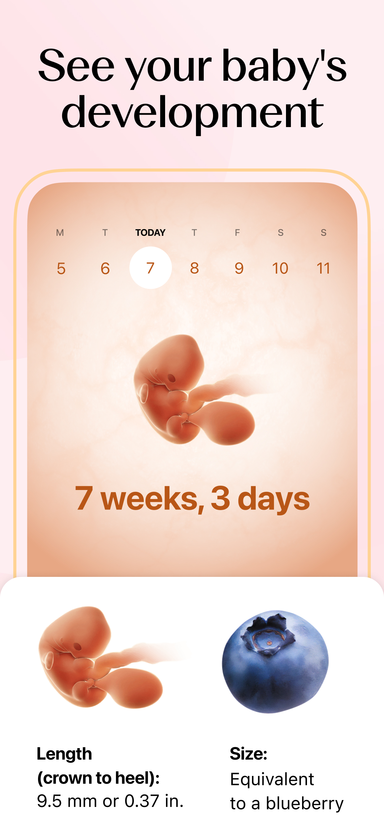 اسکرین شات 4 برنامه Flo Period & Ovulation Tracker