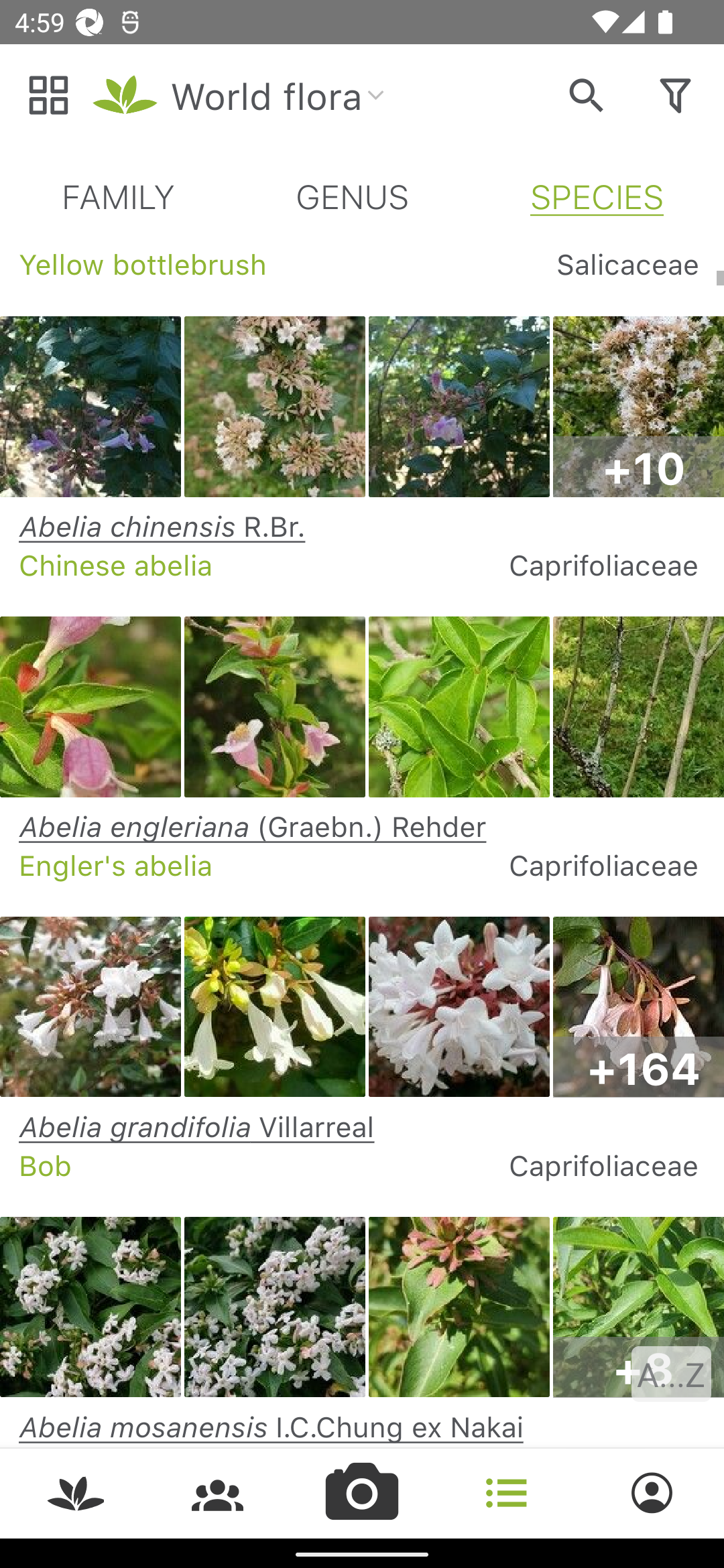 اسکرین شات 3 برنامه PlantNet Plant Identification