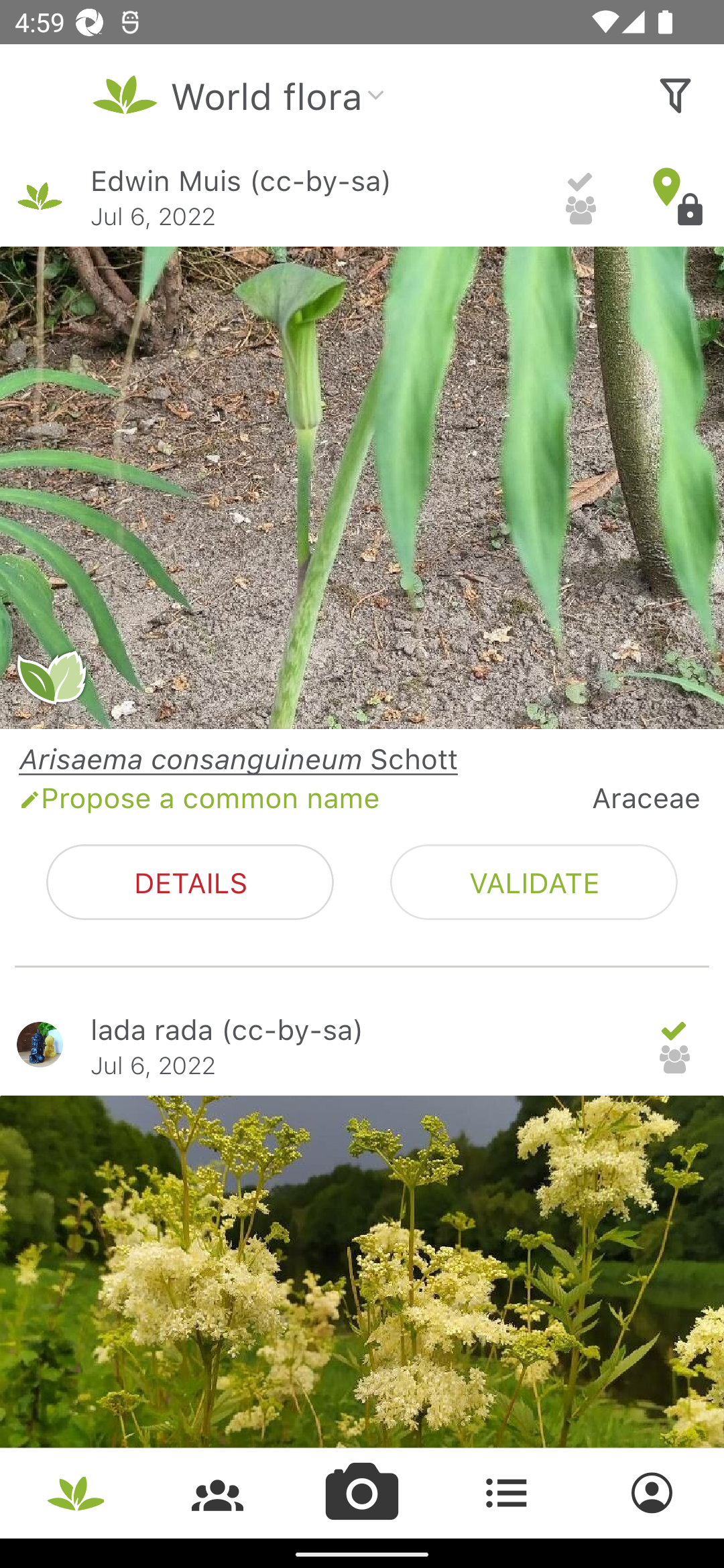 اسکرین شات 4 برنامه PlantNet Plant Identification
