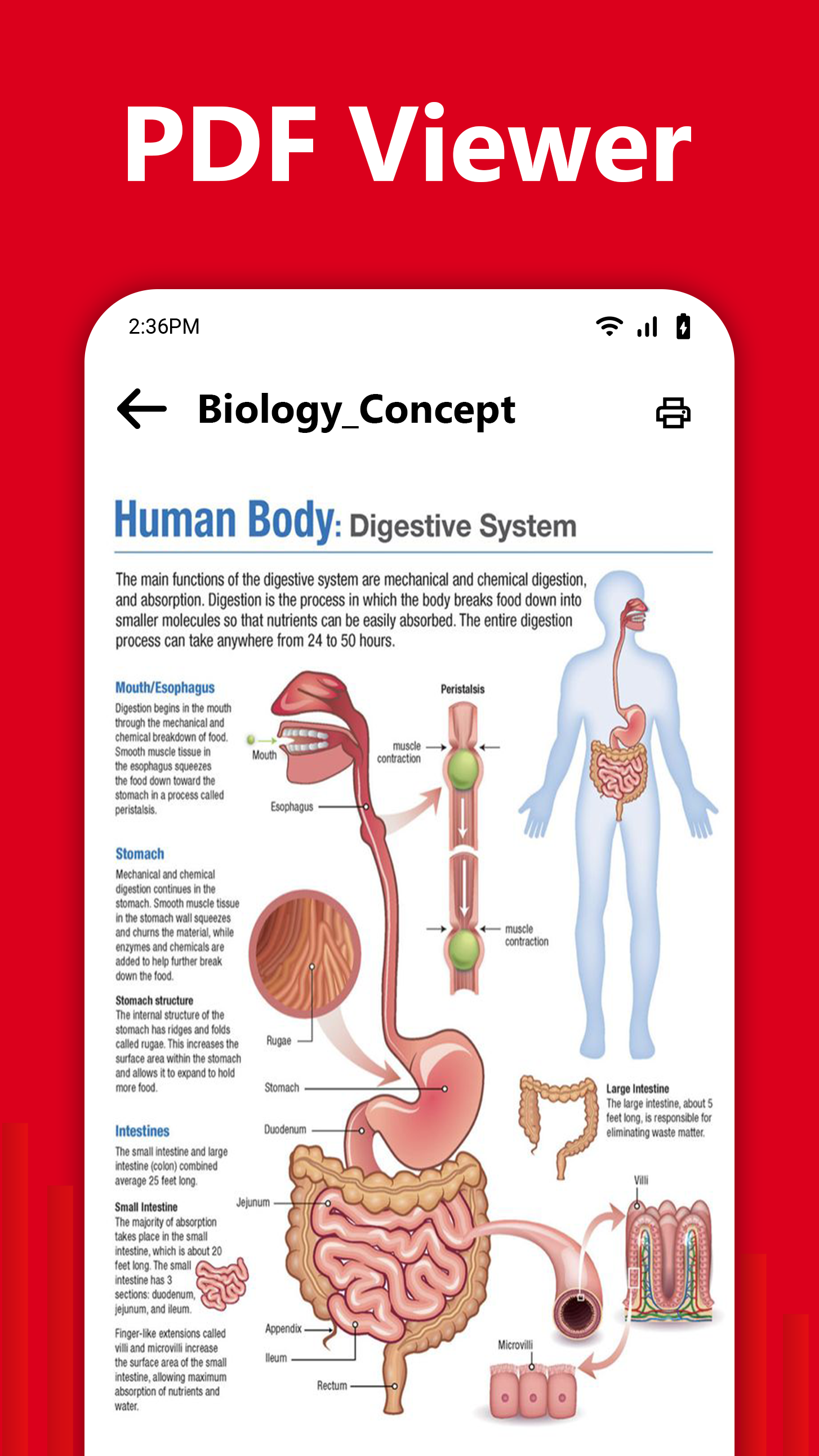 اسکرین شات 3 برنامه PDF Reader - PDF Viewer App