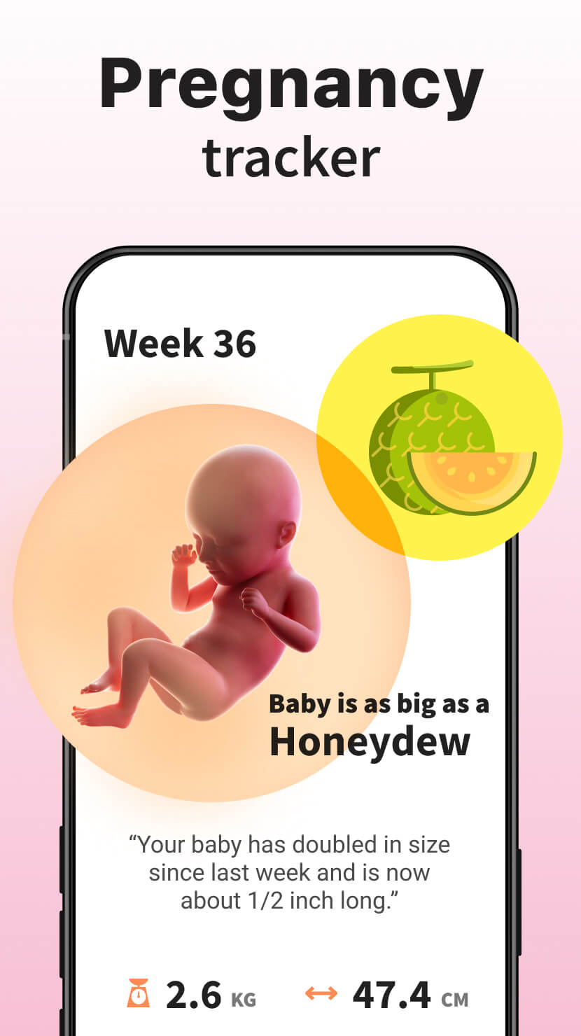 اسکرین شات 5 برنامه Ovulation & Period Tracker