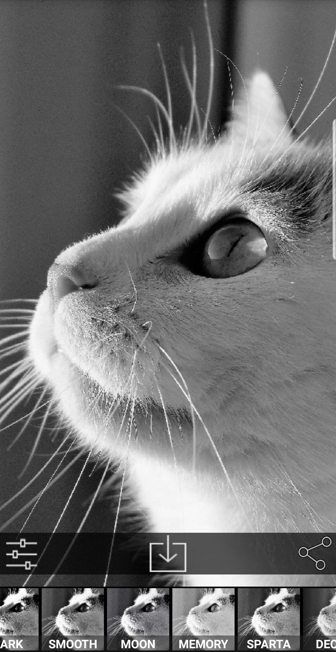 اسکرین شات 5 برنامه black and white photography