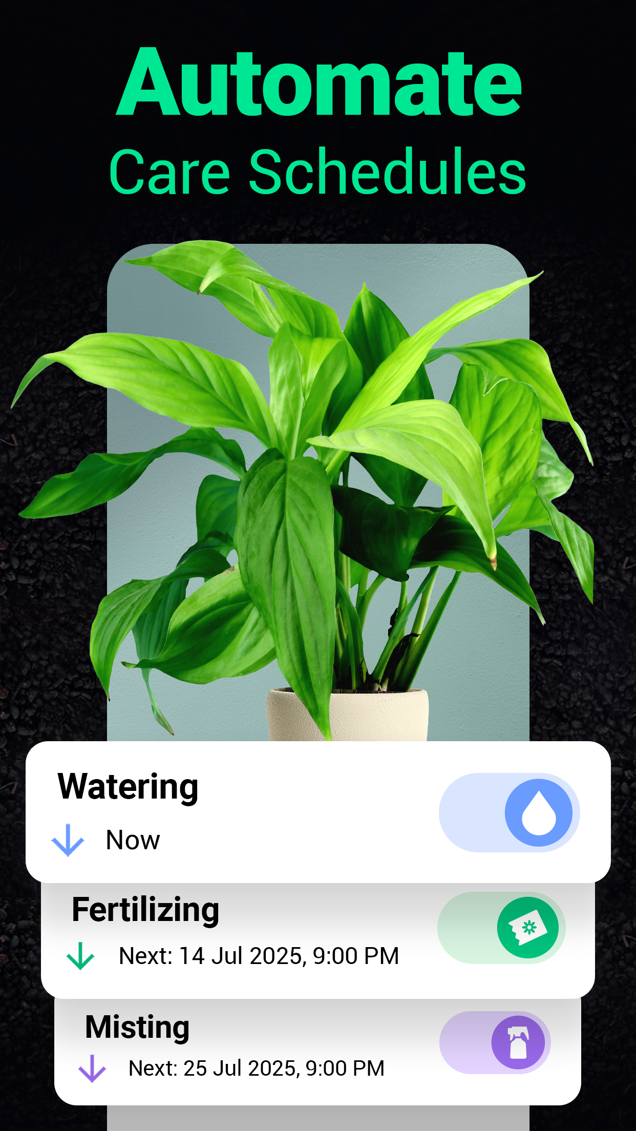 اسکرین شات 3 برنامه Plantum - Plant Identifier