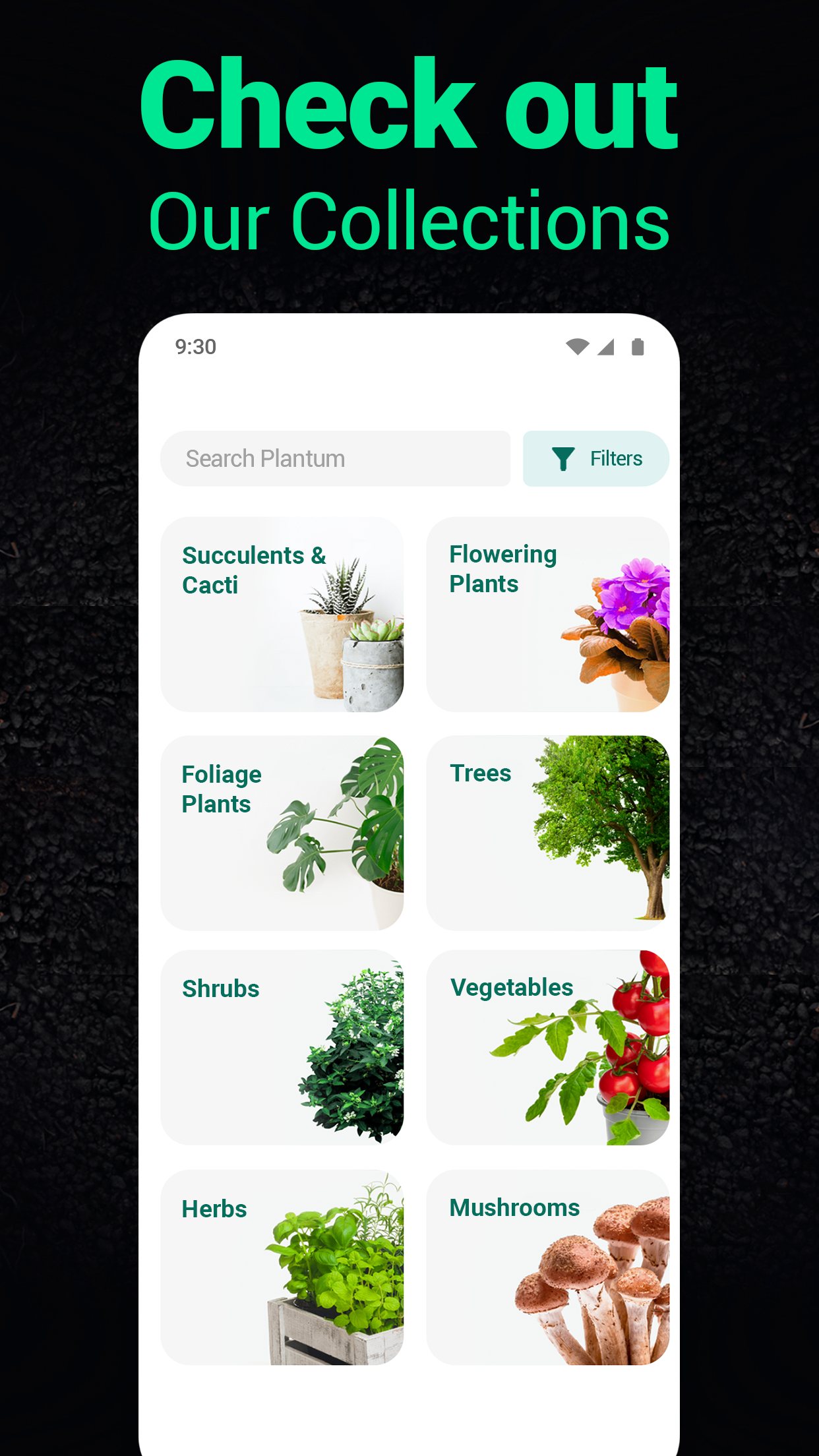 اسکرین شات 6 برنامه Plantum - Plant Identifier
