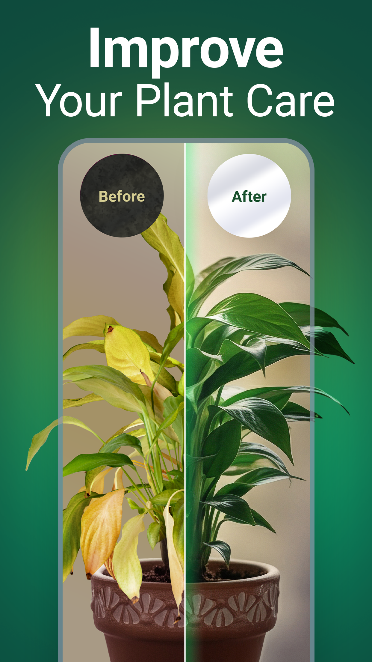 اسکرین شات 3 برنامه Plantum - Plant Identifier