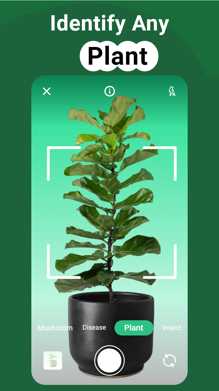اسکرین شات 1 برنامه PlantGro: AI Plant Identifier