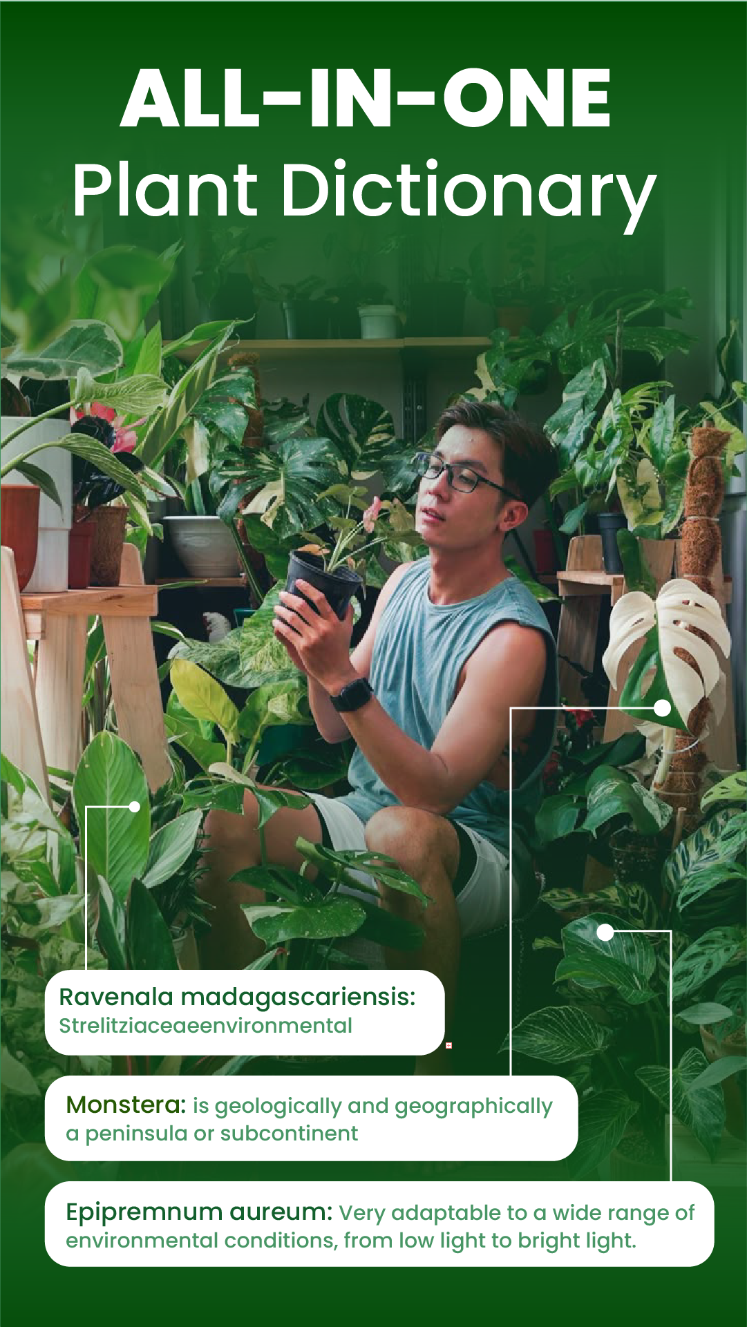 اسکرین شات 7 برنامه Florify: AI Plant Identifier