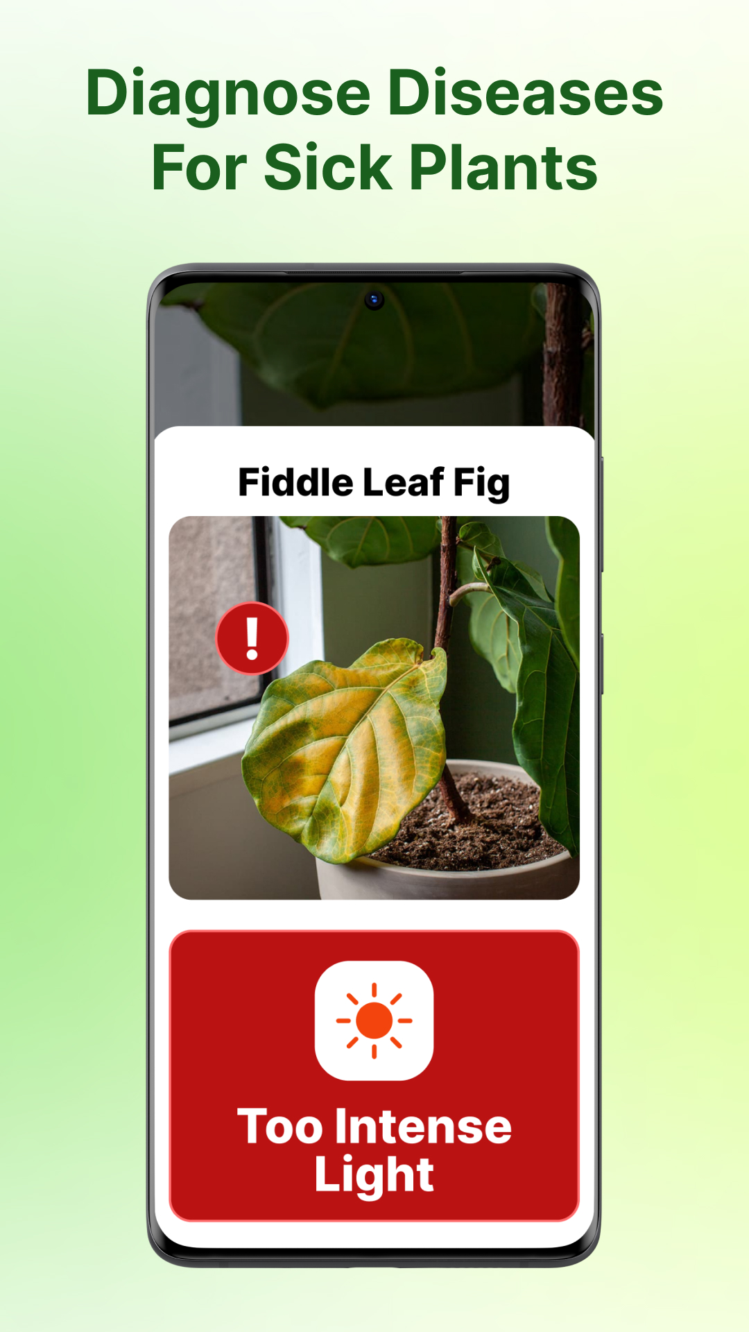 اسکرین شات 2 برنامه Plant Identifier