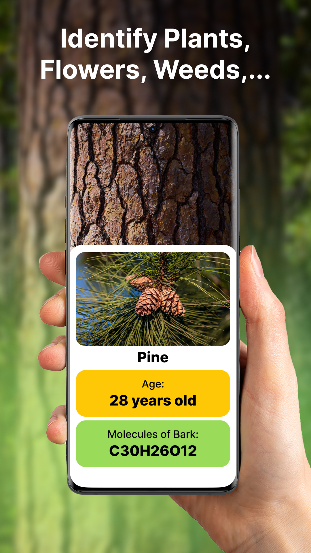 اسکرین شات 6 برنامه Plant Identifier