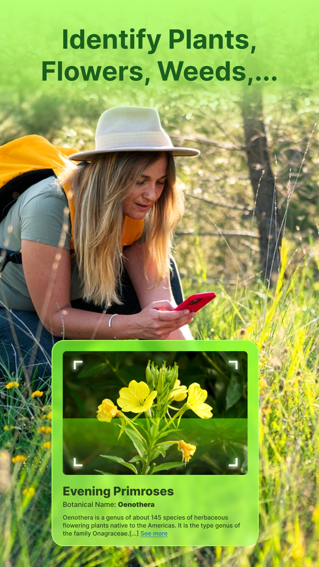 اسکرین شات 1 برنامه Plant Identifier