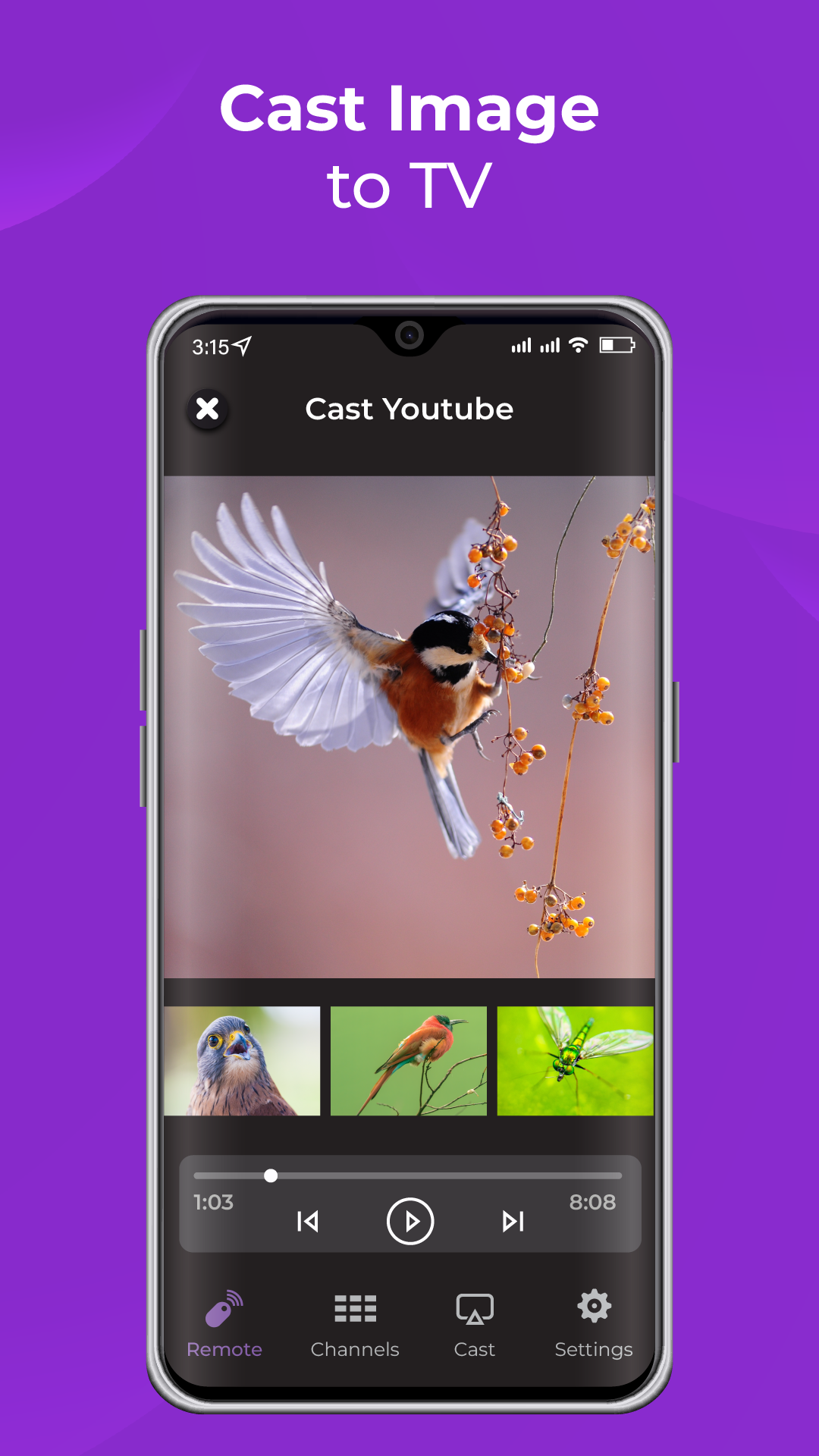 اسکرین شات 7 برنامه Remote Control for RokuTV