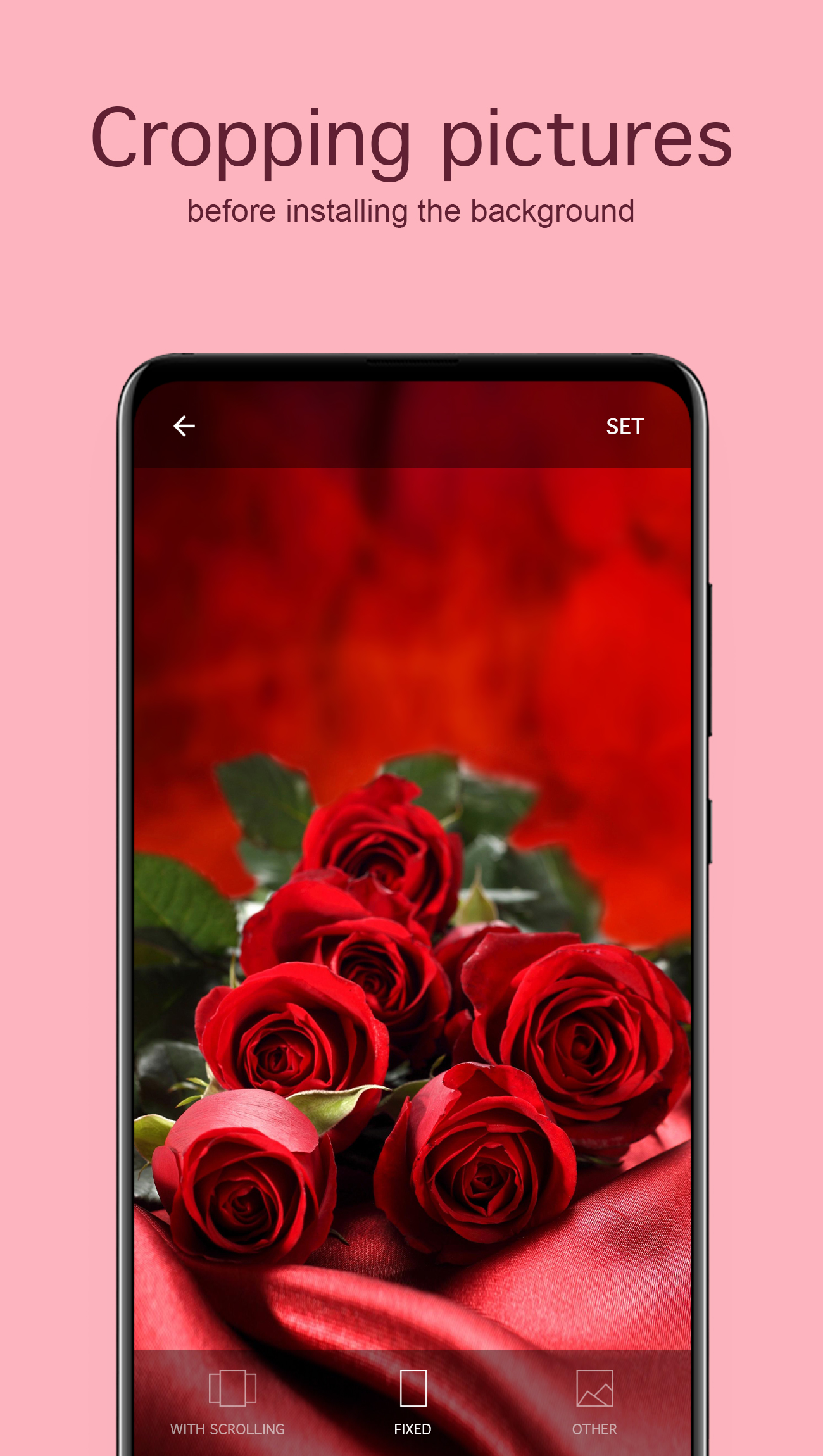 اسکرین شات 4 برنامه Rose Wallpapers 4K