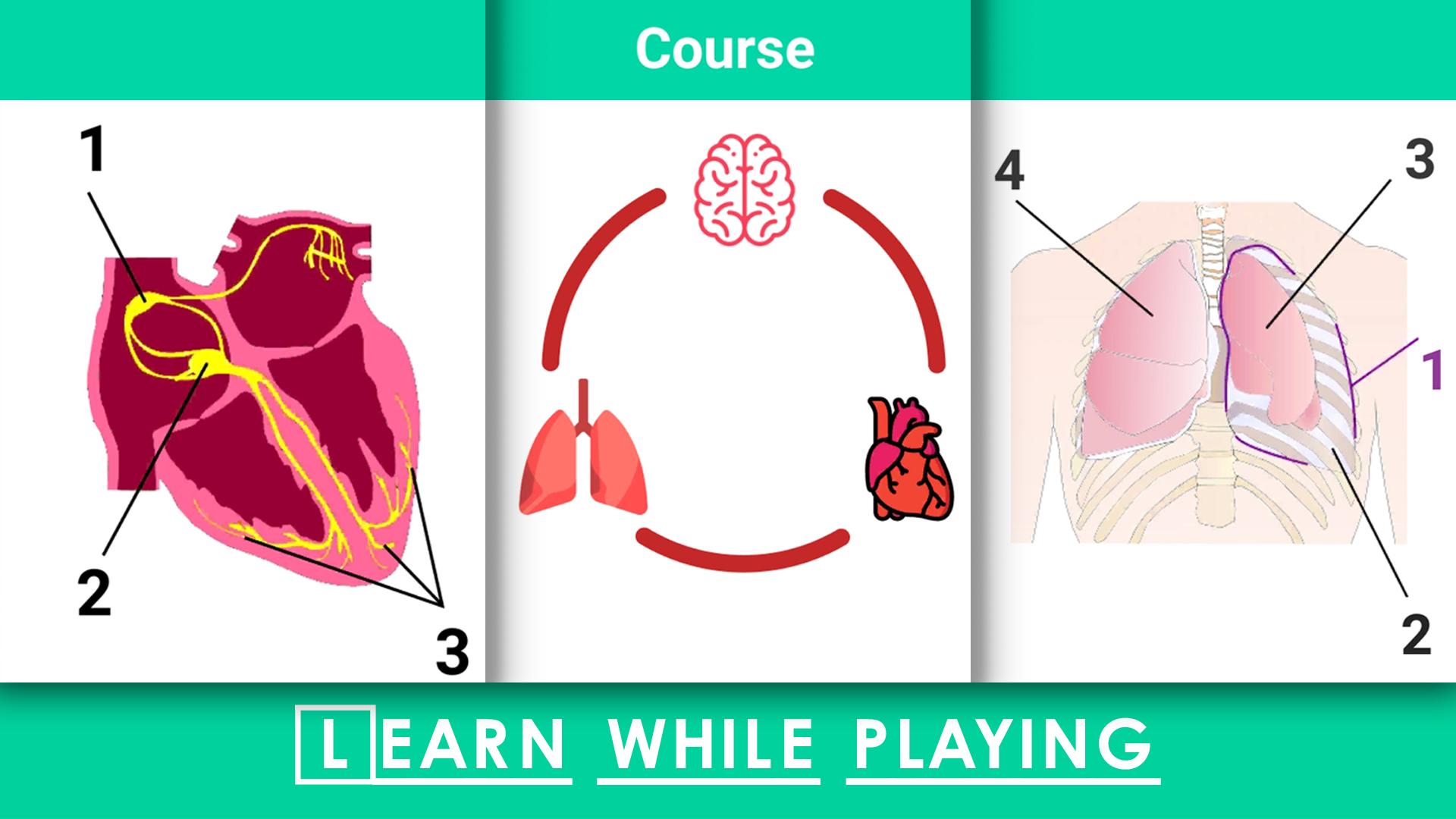 اسکرین شات 6 بازی Doctor 911 Hospital Simulator