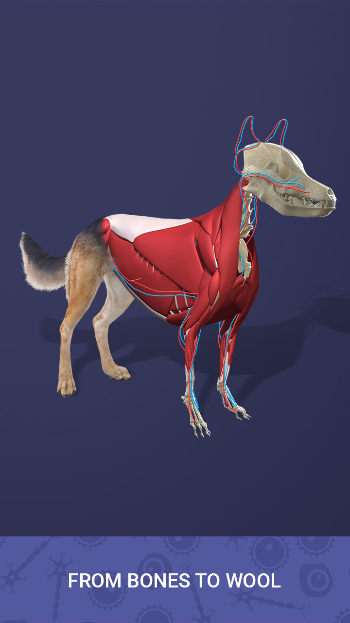 اسکرین شات 6 بازی Idle Pet - Create cell by cell