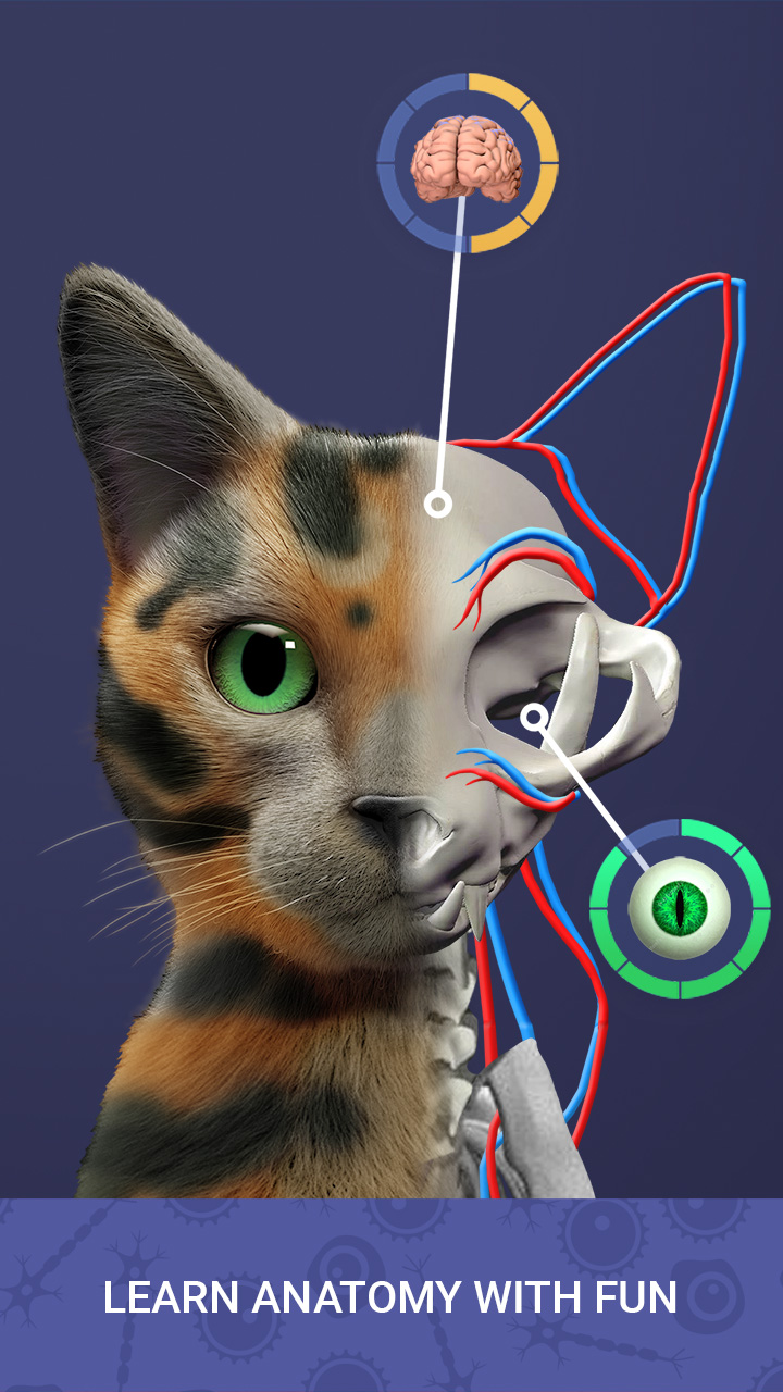 اسکرین شات 2 بازی Idle Pet - Create cell by cell