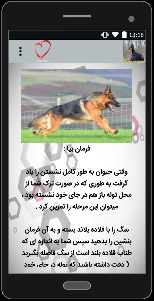 اسکرین شات 3 برنامه آموزش سگ شکاری