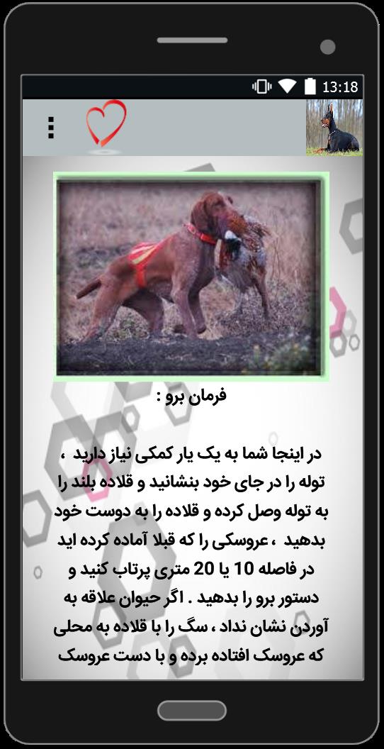 اسکرین شات 4 برنامه آموزش سگ شکاری