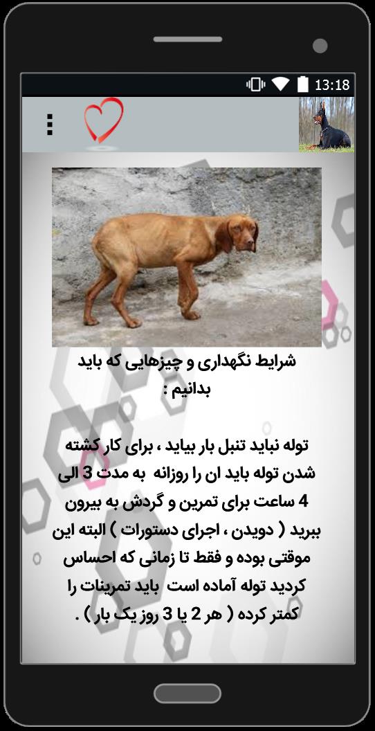 اسکرین شات 1 برنامه آموزش سگ شکاری