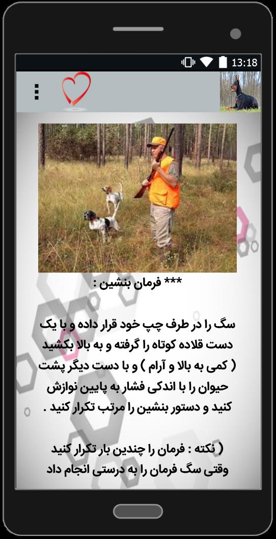 اسکرین شات 2 برنامه آموزش سگ شکاری