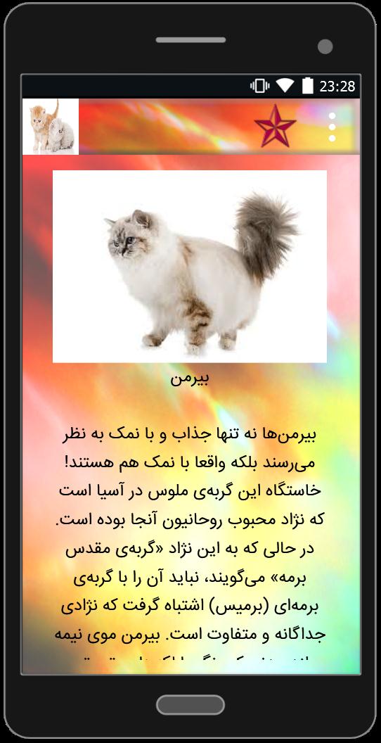 اسکرین شات 3 برنامه انواع نژاد گربه