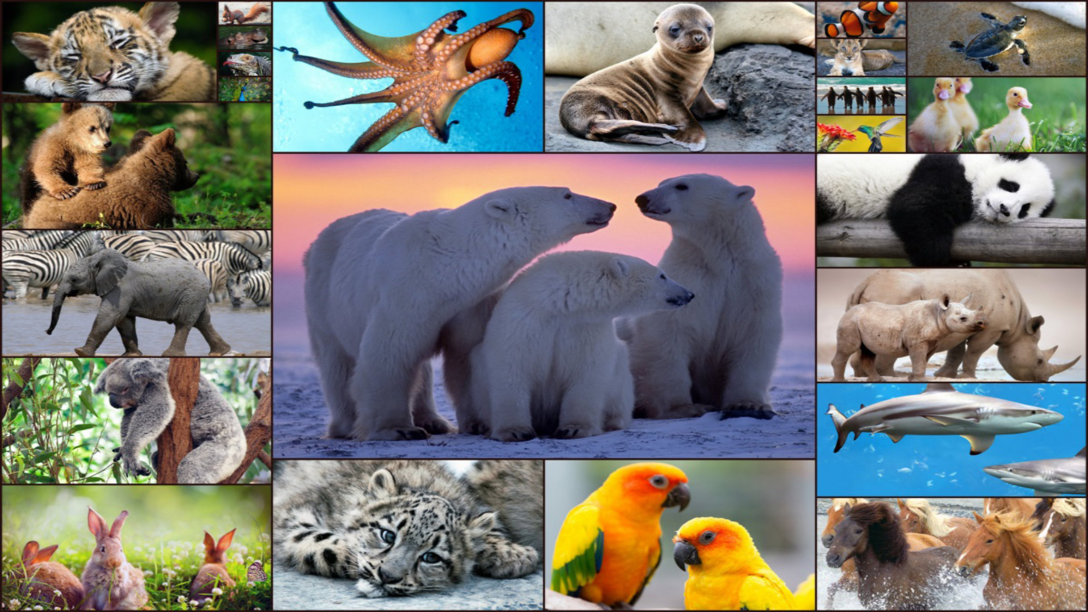 اسکرین شات 1 بازی Animal Jigsaw Puzzle Game Kids