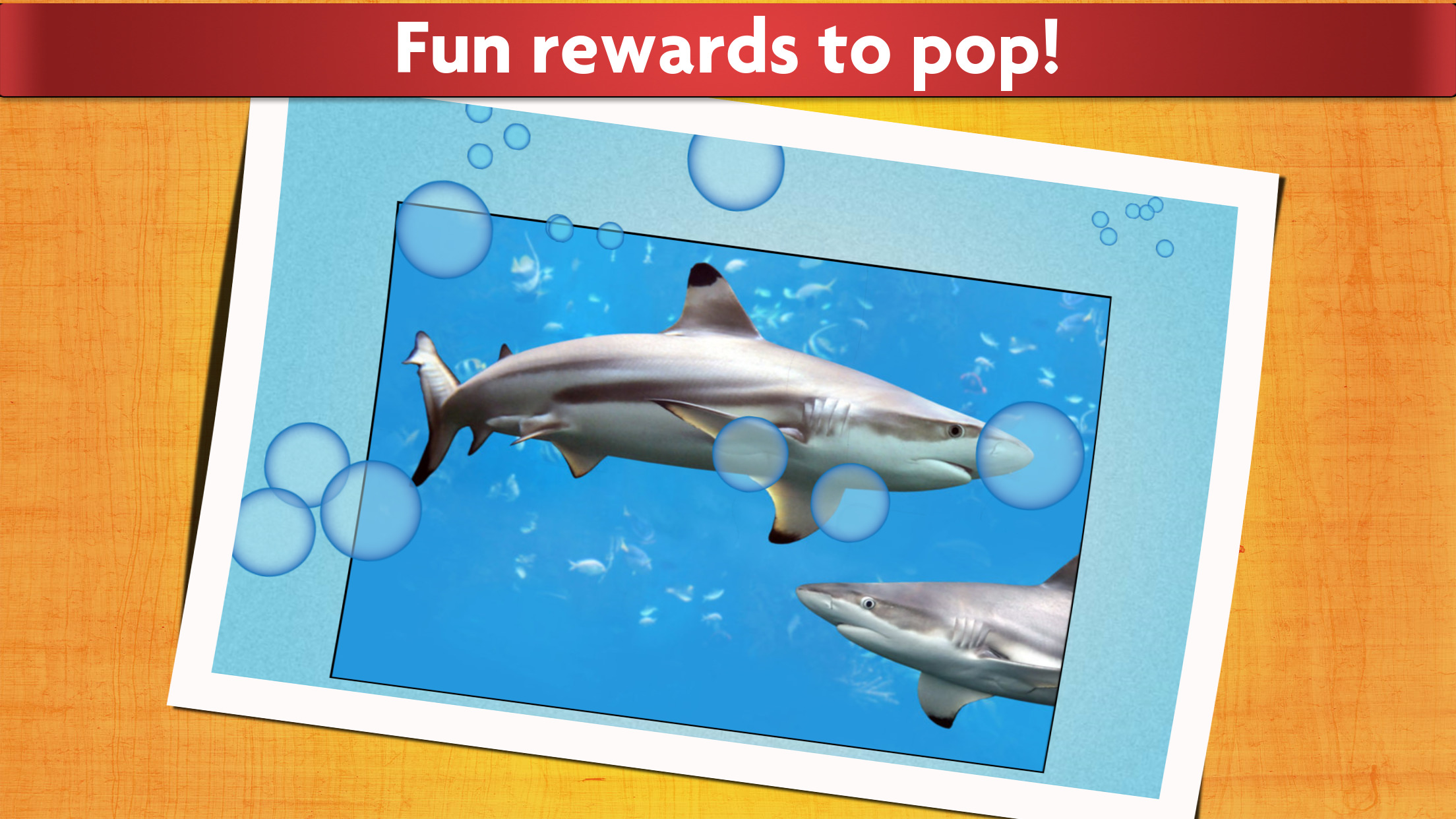 اسکرین شات 4 بازی Animal Jigsaw Puzzle Game Kids