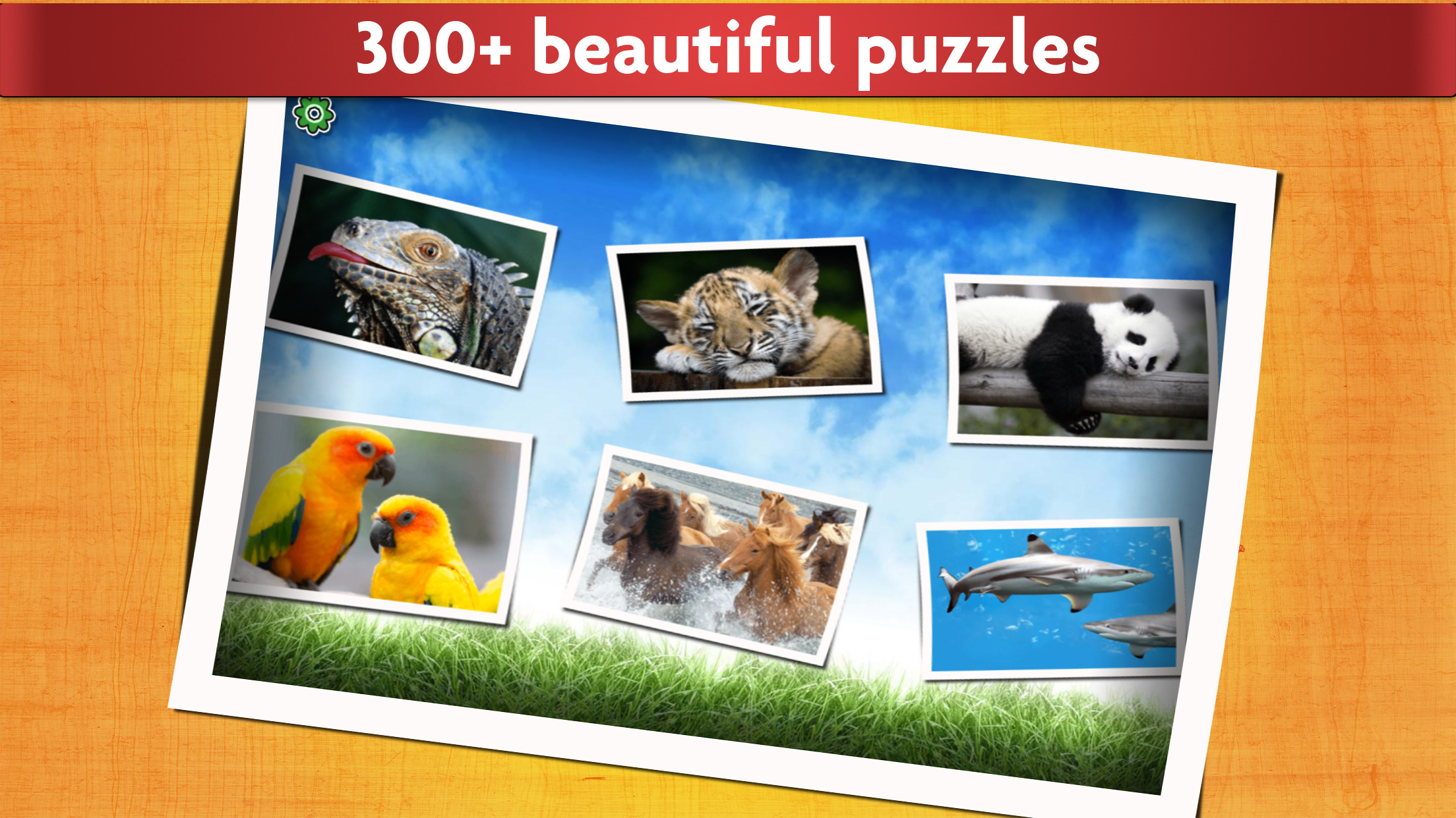 اسکرین شات 2 بازی Animal Jigsaw Puzzle Game Kids