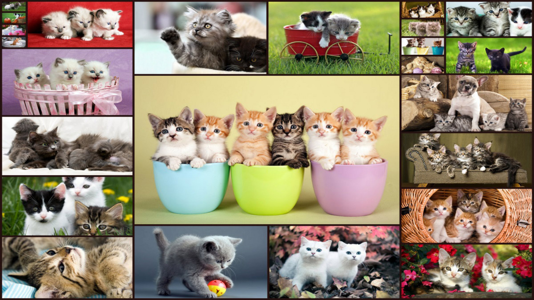 اسکرین شات 1 بازی Cats Jigsaw Puzzle Game Kids
