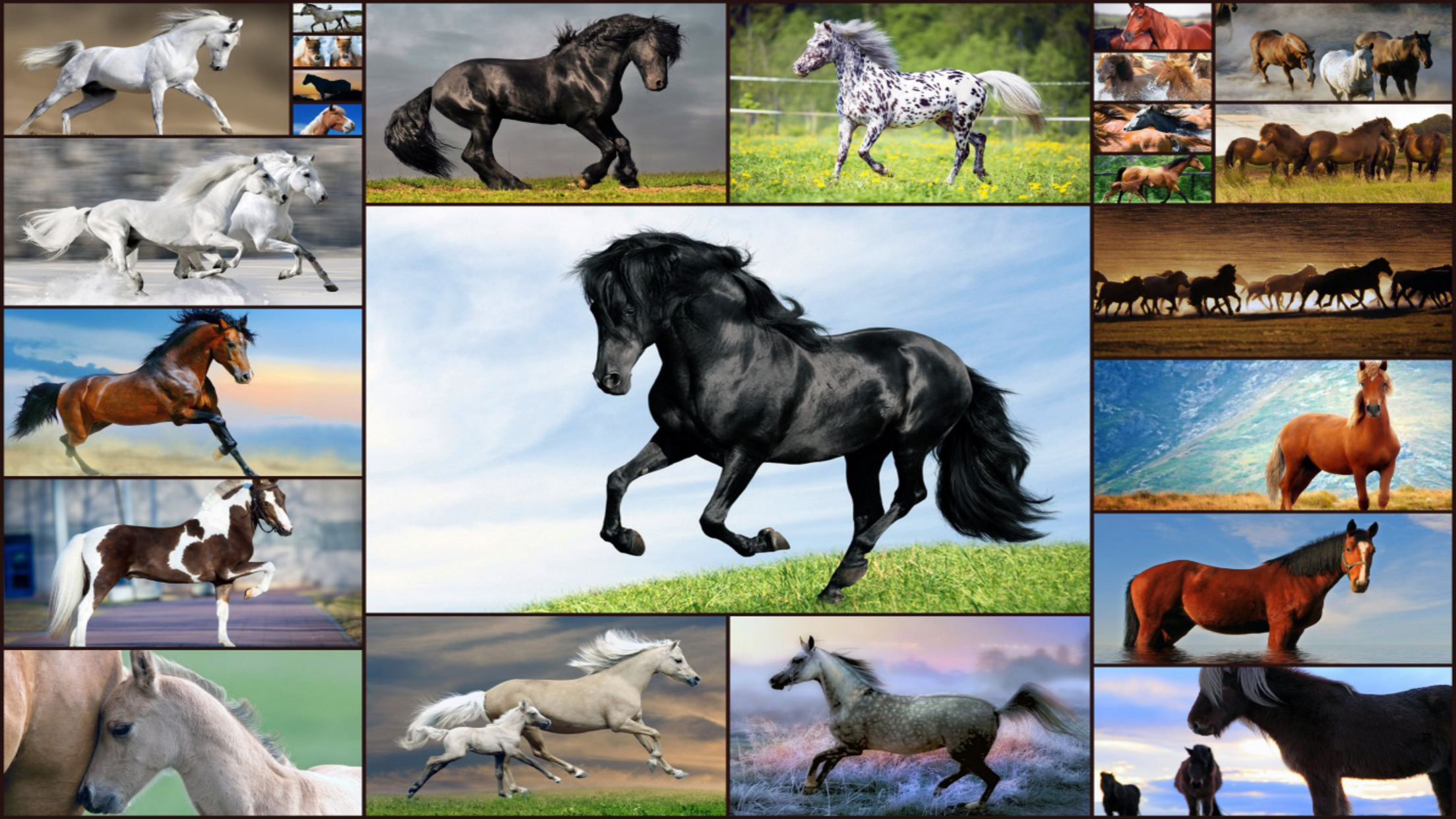 اسکرین شات 1 بازی Horse Jigsaw Puzzles Game Kids