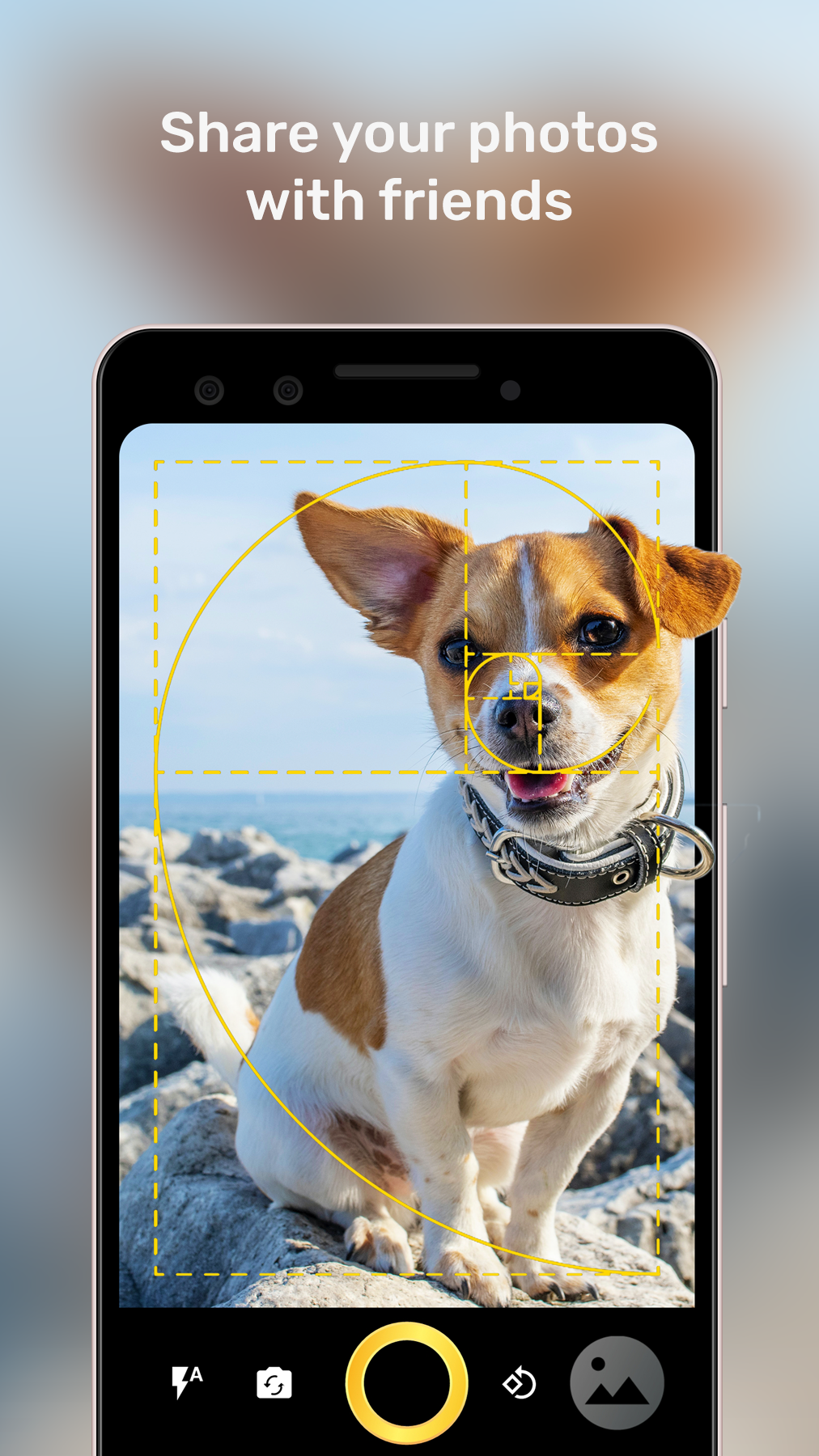 اسکرین شات 4 برنامه Golden Ratio Camera