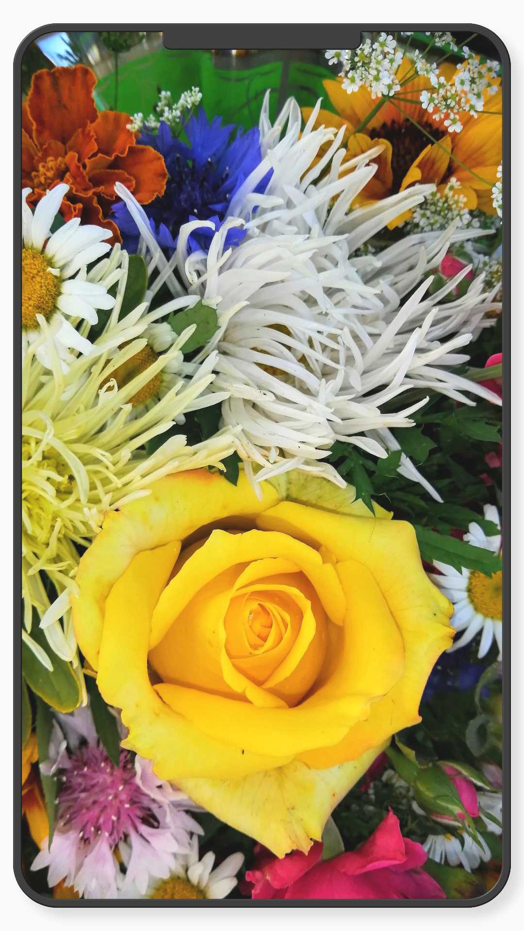 اسکرین شات 7 برنامه Flower Wallpaper-7