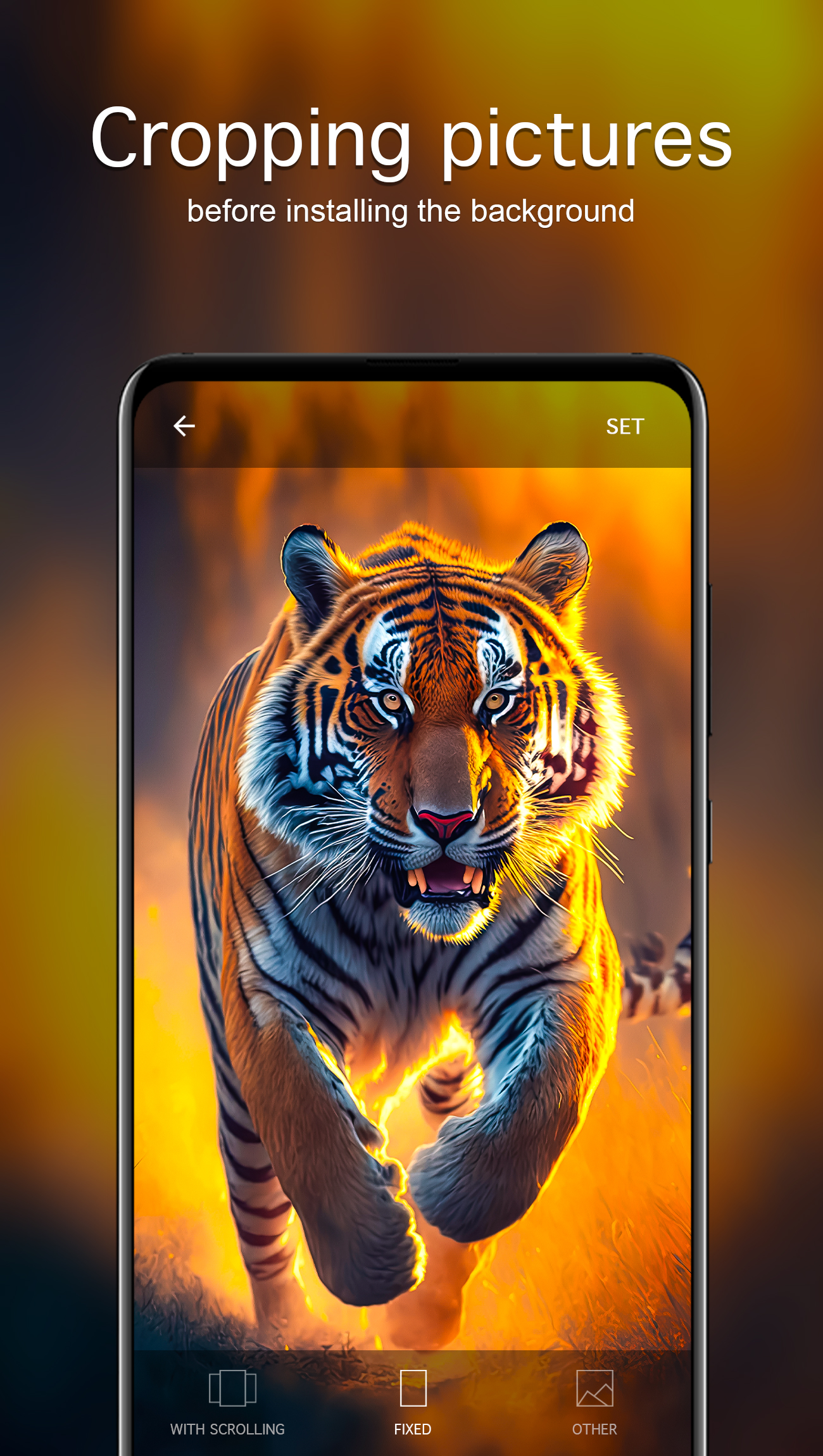 اسکرین شات 4 برنامه Tiger Wallpapers 4K