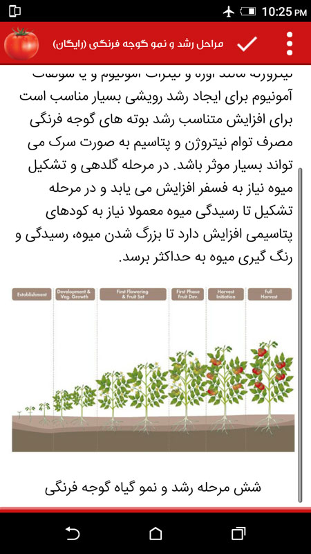 اسکرین شات 9 برنامه دانشنامه کشت گوجه فرنگی