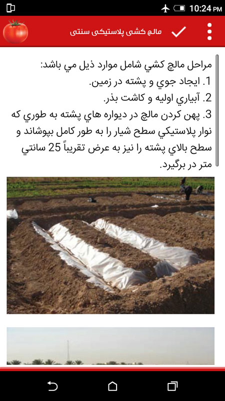 اسکرین شات 3 برنامه دانشنامه کشت گوجه فرنگی